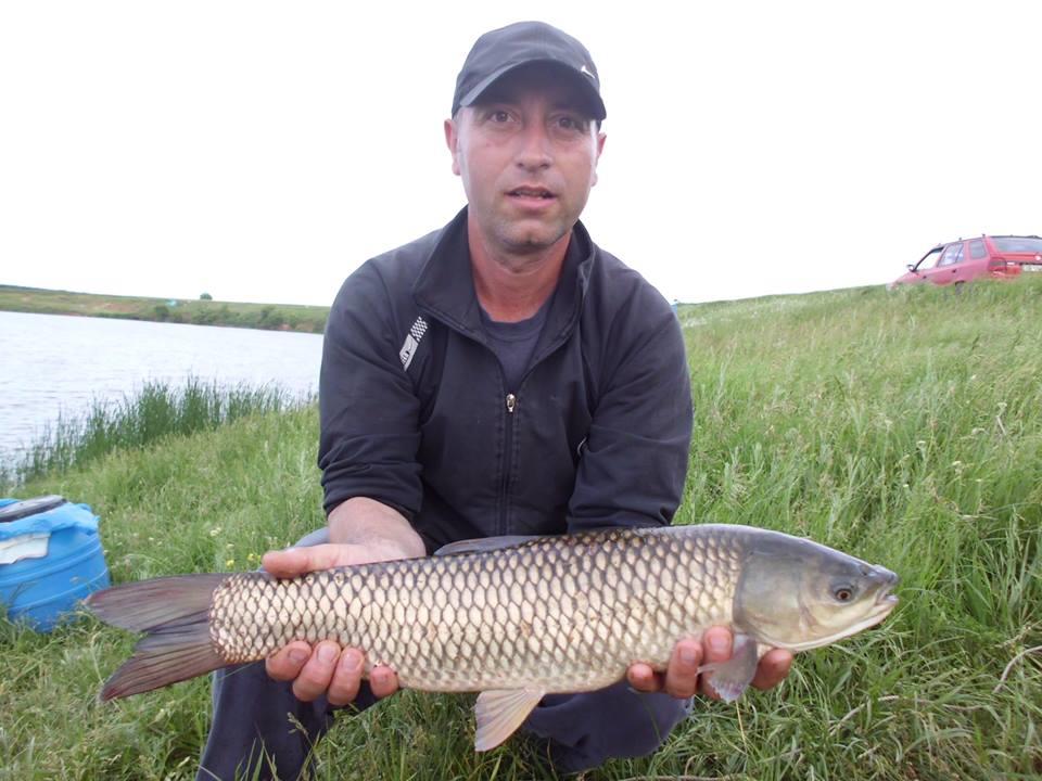 Pescuit---  Balta Sericu  Blejesti --23. 06 .2015. - 2,5KG